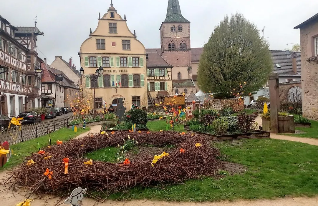 Plaisirs d'Alsace - Munster - Colmar - Route du vin-1